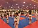Black Belt Testing - Apr 2018_1