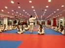 Black Belt Testing - May 2015_18