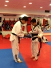 Black Belt Testing - May 2015