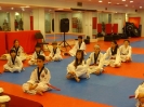 Black Belt Testing - May 2015
