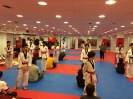 Black Belt Testing - May 2016_11