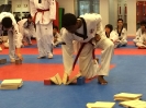Black Belt Testing - May 2016_15