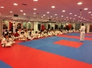 Black Belt Testing - May 2016_6