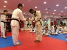 Black Belt Testing - May 2016_7