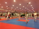 Black Belt Testing - Nov 2015_15