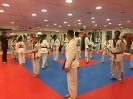 Black Belt Testing - Nov 2015_16