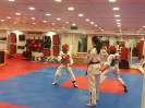 Black Belt Testing - Nov 2015_17
