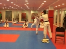 Black Belt Testing - Nov 2015_18