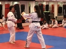 Black Belt Testing - Nov 2017_17
