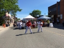 Heritage Day Festival - June 2015_11