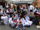 Heritage Day Festival - June 2015_2