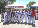 Heritage Day Festival - June 2015_3