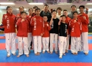 Master Young Sun Bang Seminar_2