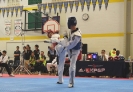 2016 Ontario Provincial Games 2_15