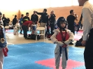 2016 Phoenix Games_6
