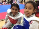 2016 Toronto Open