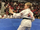 2018 Sport TKD Open_8