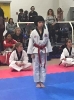 2018 Toronto Open Tournament