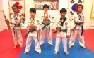 Sport TKD Tournament - Apr 1, 2017 _2